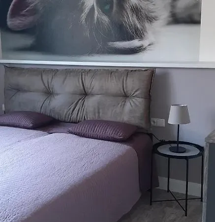 Flat * Jindřichův Hradec