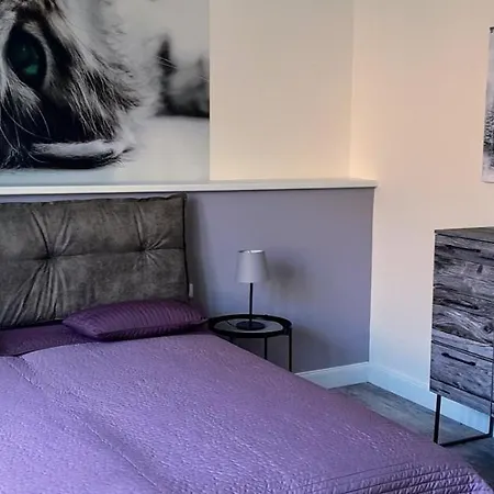 Flat Apartmán Jindřichův Hradec